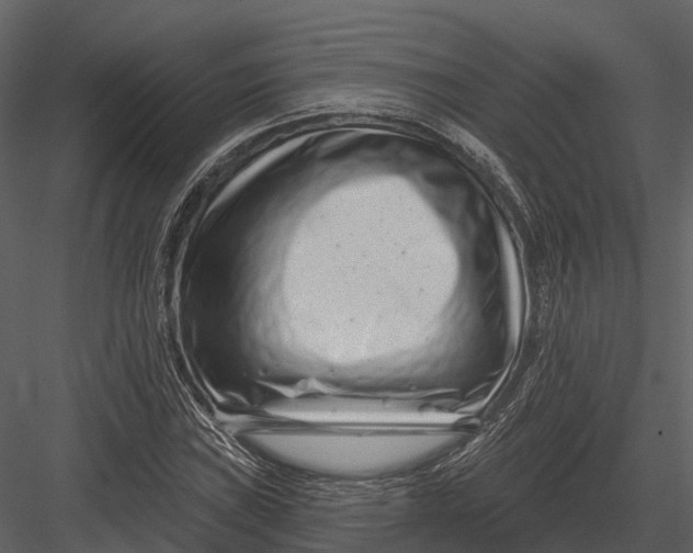 X0000082931019200702222214