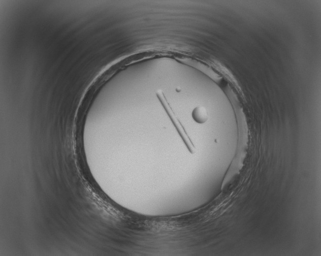 X0000082931020200702222214