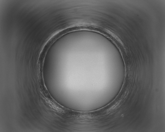 X0000082931021200702222214