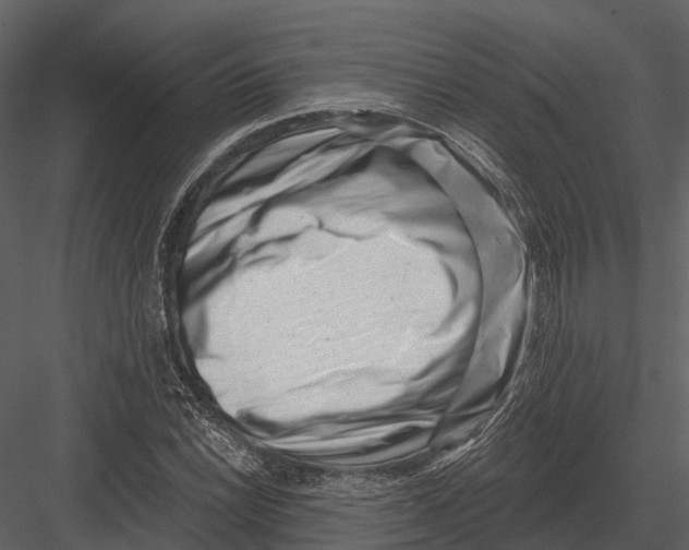 X0000082931022200702222214