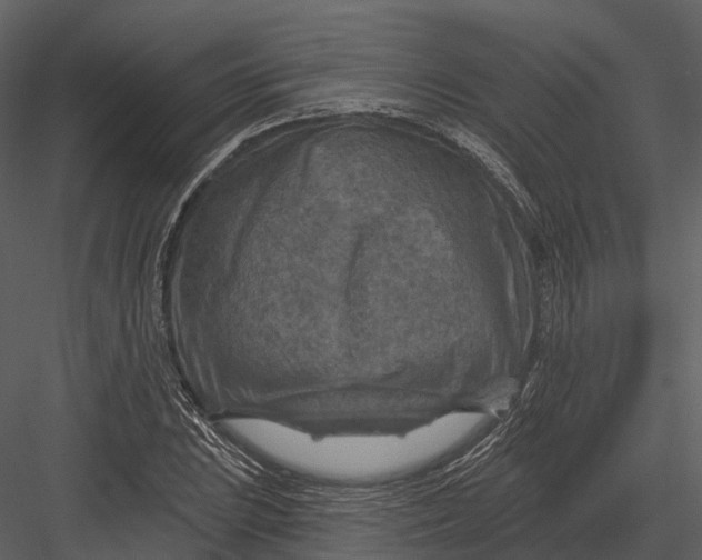 X0000082931023200702222214