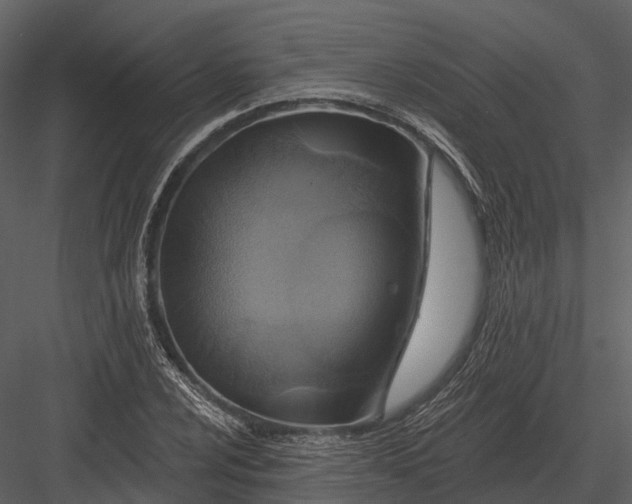 X0000082931024200702222214