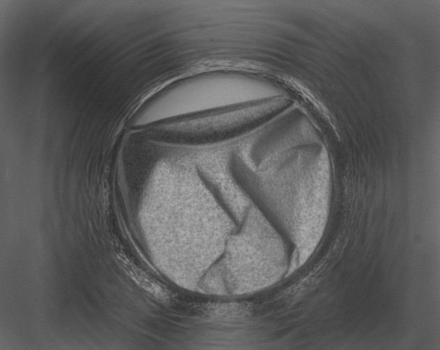 X0000082931025200702222214