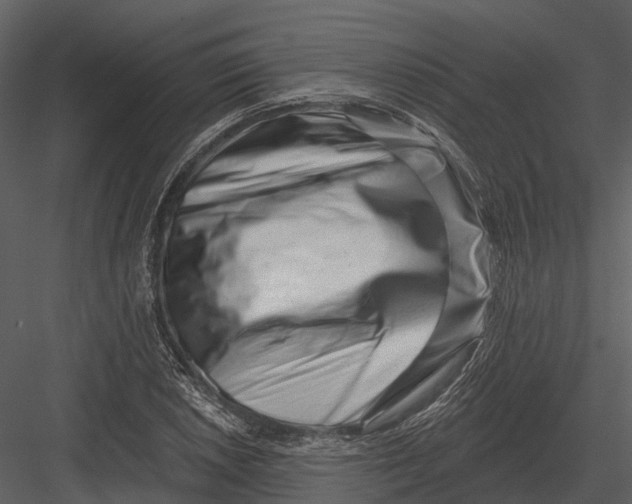 X0000082931026200702222214