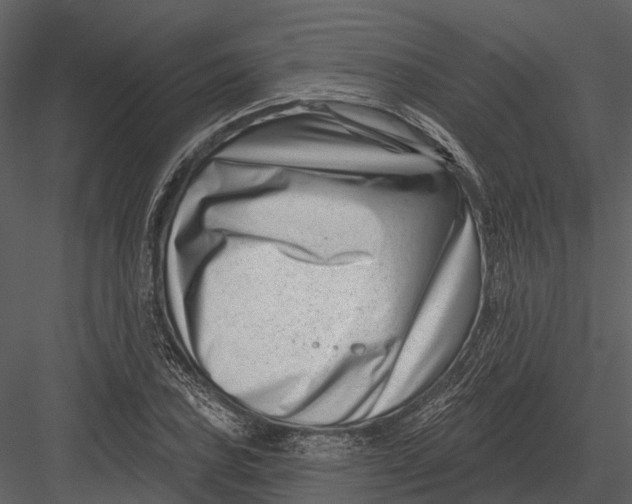 X0000082931027200702222214