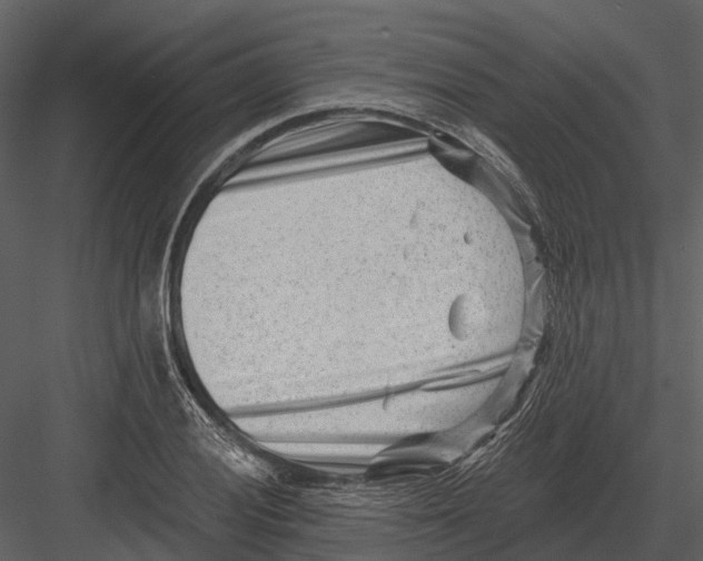 X0000082931028200702222214