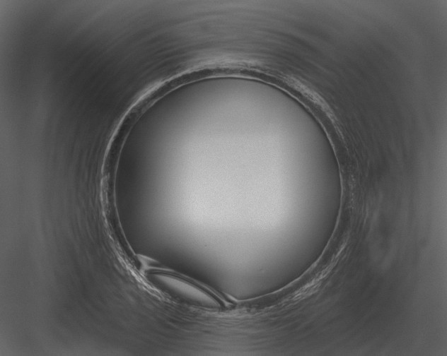 X0000082931029200702222214