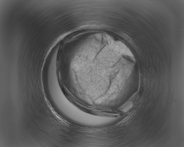 X0000082931030200702222214