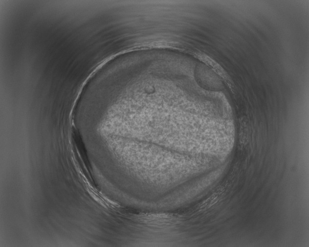 X0000082931031200702222214