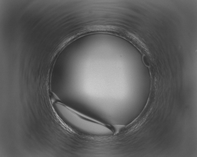 X0000082931033200702222214