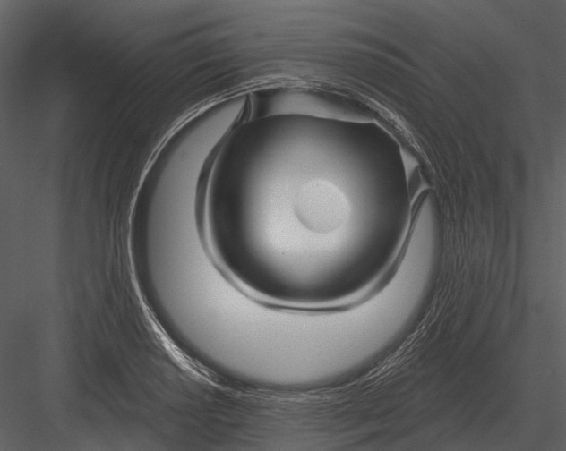 X0000082931034200702222214