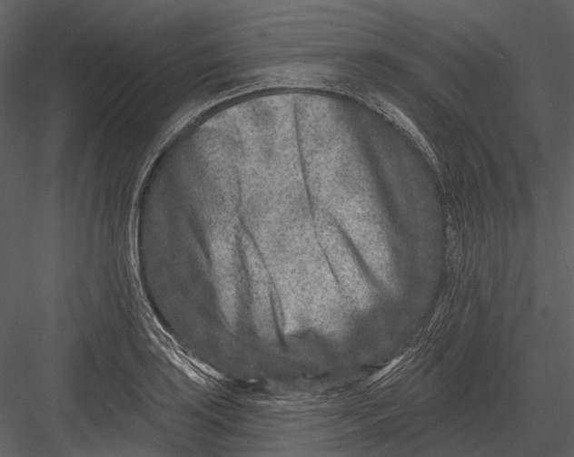 X0000082931035200702222214