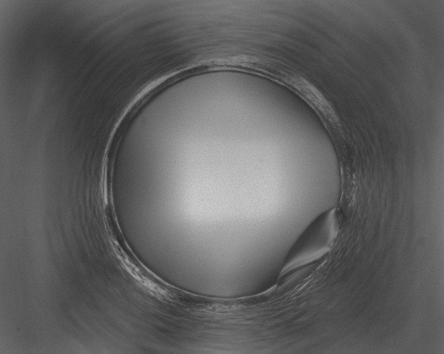 X0000082931036200702222214