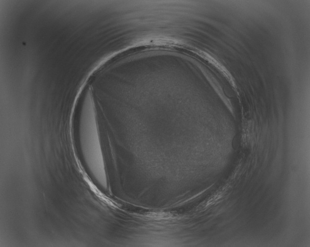 X0000082931037200702222214