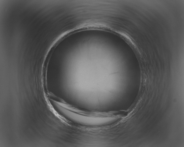 X0000082931038200702222214