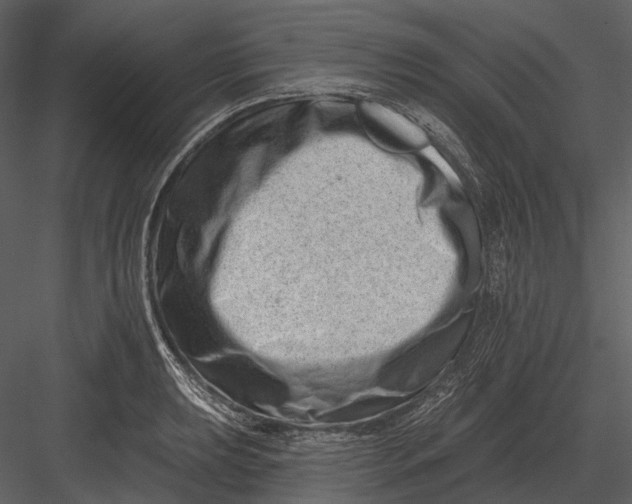 X0000082931039200702222214