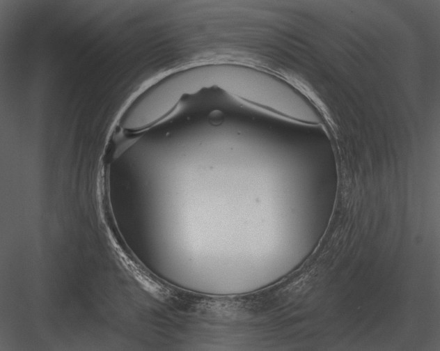 X0000082931040200702222214