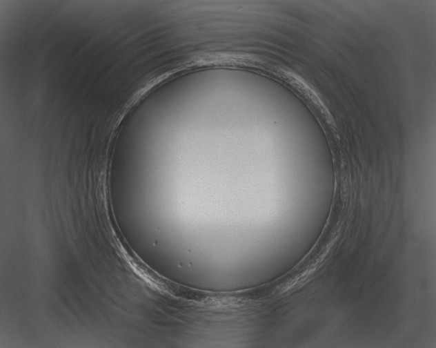 X0000082931041200702222214