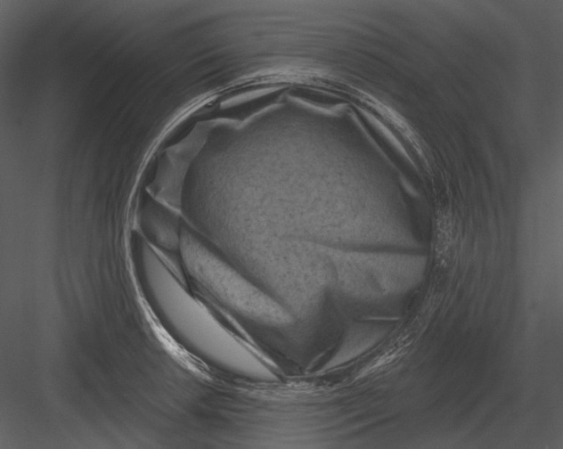 X0000082931042200702222214