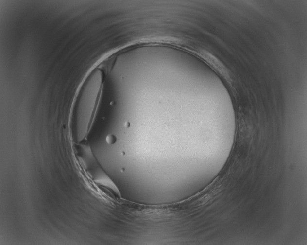 X0000082931044200702222214