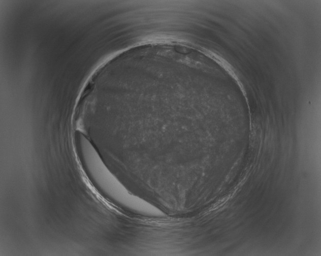 X0000082931045200702222214