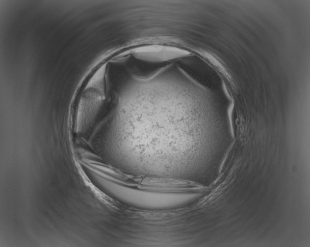 X0000082931046200702222214