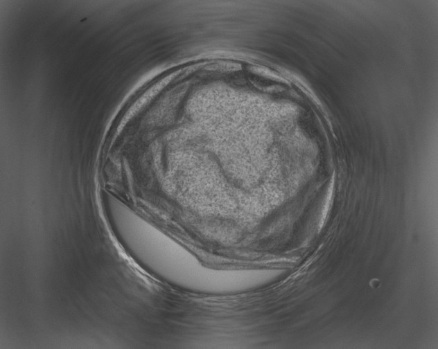 X0000082931048200702222214