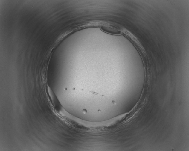 X0000082931049200702222214