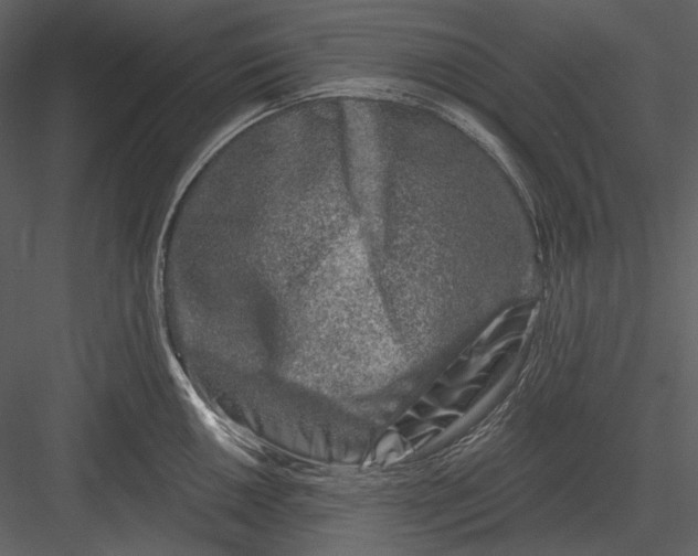 X0000082931050200702222214