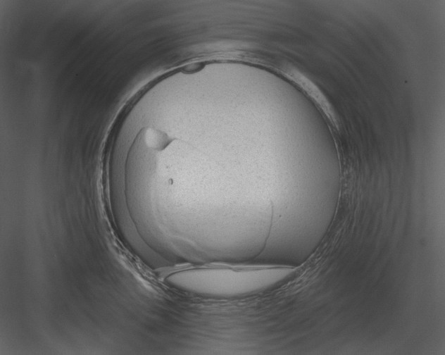 X0000082931051200702222214