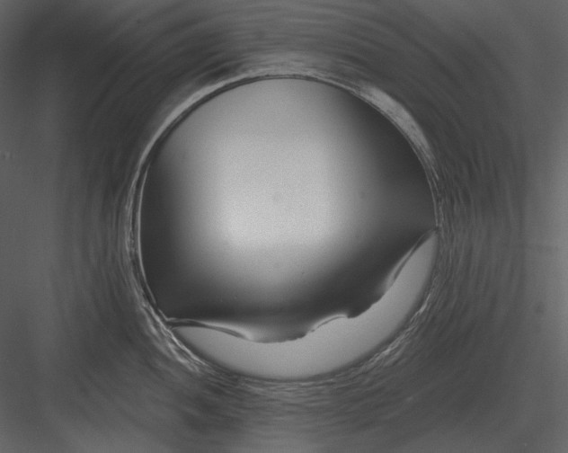 X0000082931052200702222214