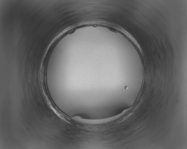 X0000082931053200702222214