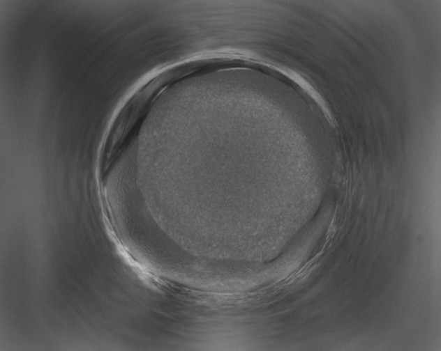 X0000082931054200702222214