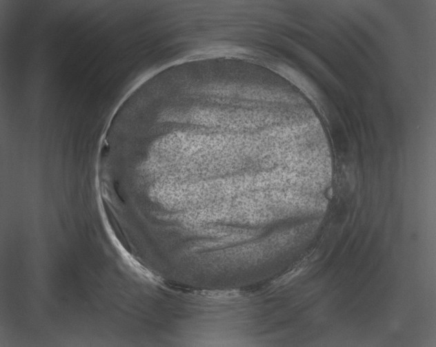 X0000082931055200702222214