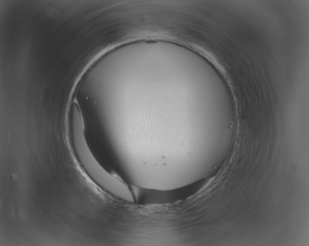 X0000082931056200702222214