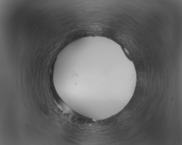 X0000082931057200702222213