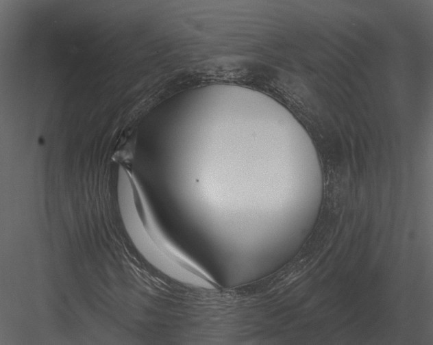 X0000082931058200702222213