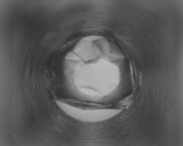 X0000082931059200702222213