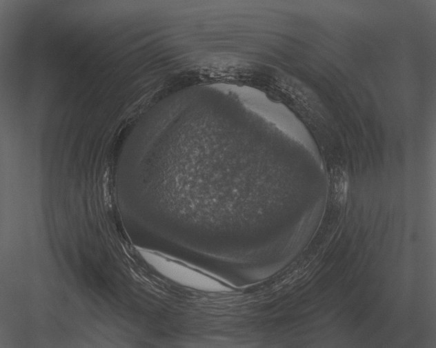 X0000082931060200702222213