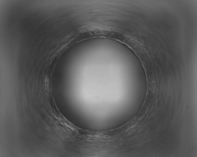 X0000082931061200702222213