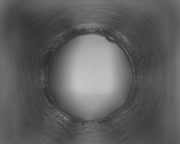 X0000082931062200702222213