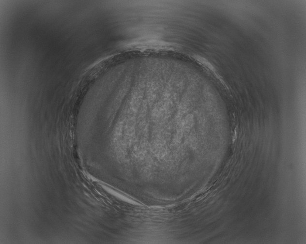 X0000082931063200702222213