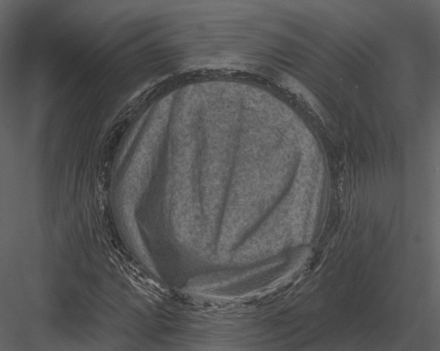 X0000082931064200702222213