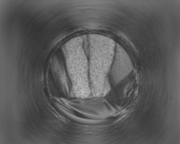 X0000082931065200702222213