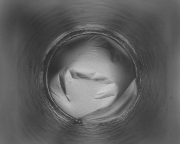 X0000082931066200702222213