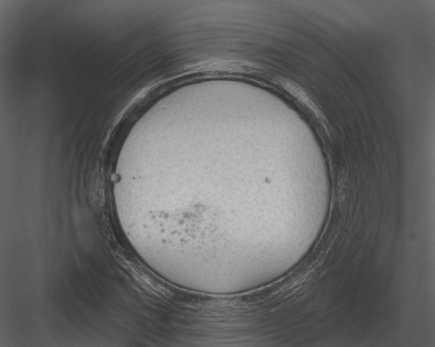 X0000082931067200702222213