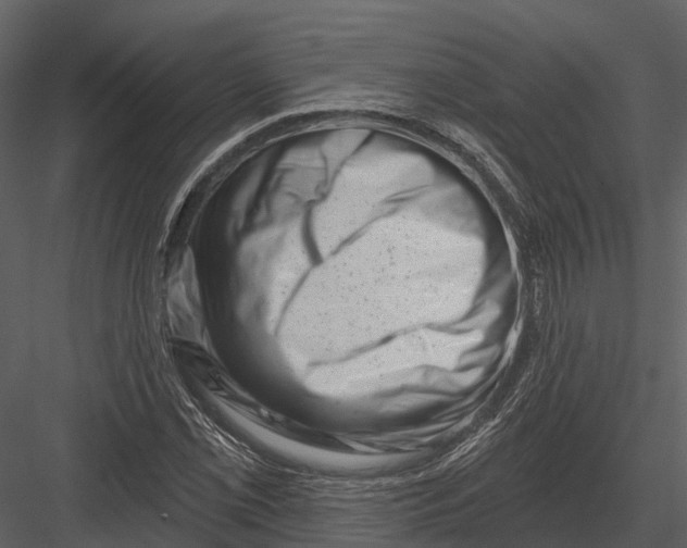 X0000082931069200702222213