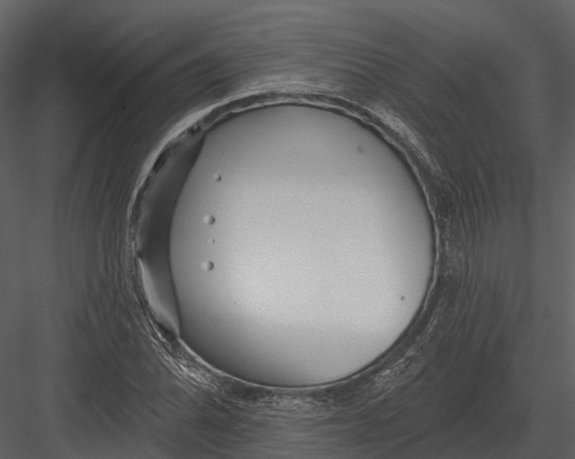 X0000082931070200702222213