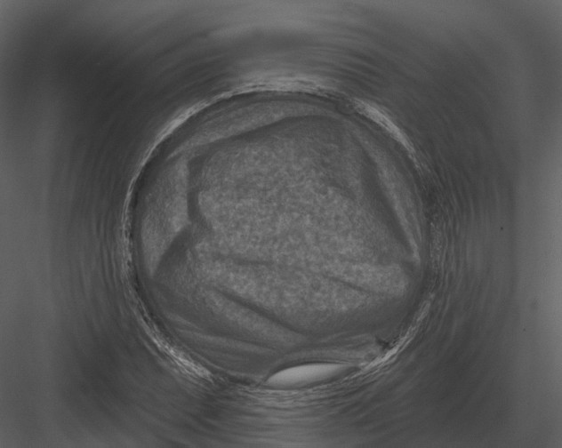 X0000082931071200702222213