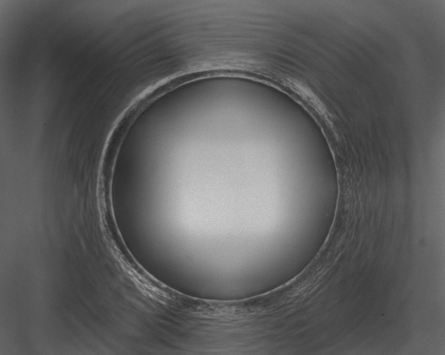 X0000082931072200702222213